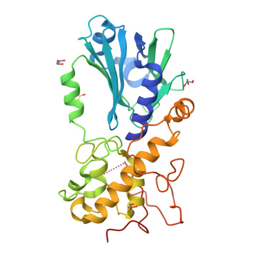 RCSB PDB - 3A42: Crystal structure of MvNei1