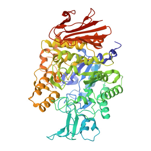 Oligo-1,6-glucosidase IMA1 structure
