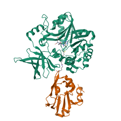RCSB PDB - 3A8I: Crystal Structure of ET-EHred-5-CH3-THF complex