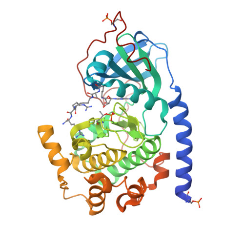 RCSB PDB 3AGL Complex of PKA with the bisubstrate protein kinase