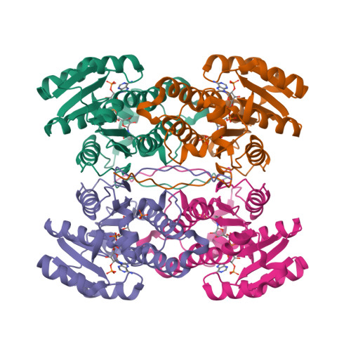 RCSB PDB - 3ASV: The Closed form of serine dehydrogenase complexed with ...