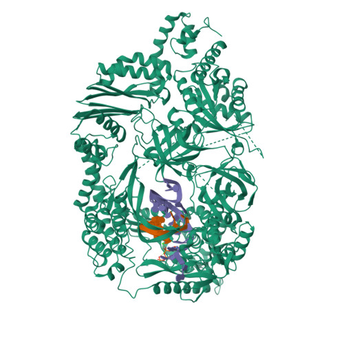 RCSB PDB - 3AVY: Structure of viral RNA polymerase complex 6