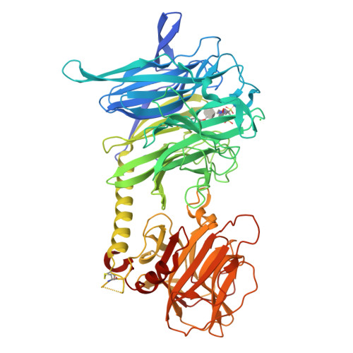 Trans-sialidase structure