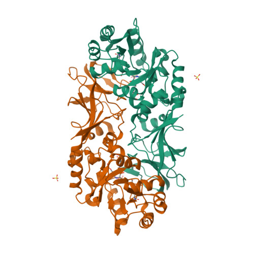RCSB PDB - 3B8U: Crystal structure of Escherichia coli alaine racemase  mutant E221A