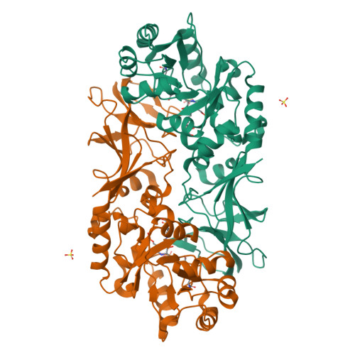 RCSB PDB - 3B8U: Crystal structure of Escherichia coli alaine racemase  mutant E221A