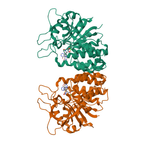 RCSB PDB - 3B9G: Crystal structure of loop deletion mutant of