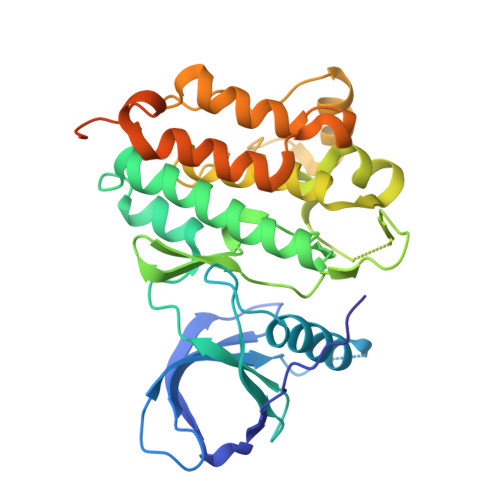 RCSB PDB - 3BCE: Crystal structure of the ErbB4 kinase