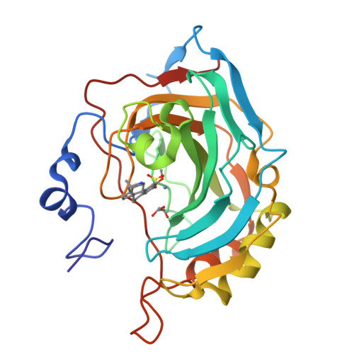 Rcsb Pdb Bet Crystal Structure Of The Human Carbonic Anhydrase Ii