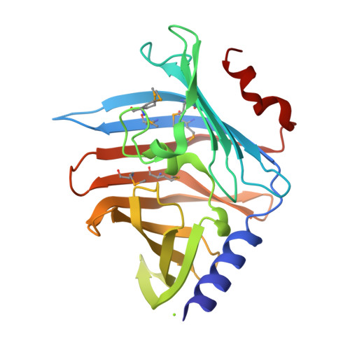 RCSB PDB - 3BK5: Crystal structure of putative outer membrane ...