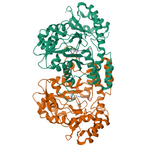 RCSB PDB - 3BN1: Crystal structure of GDP-perosamine synthase