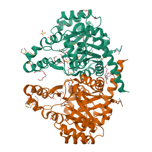 RCSB PDB - 3BO9: Crystal structure of putative nitroalkan 