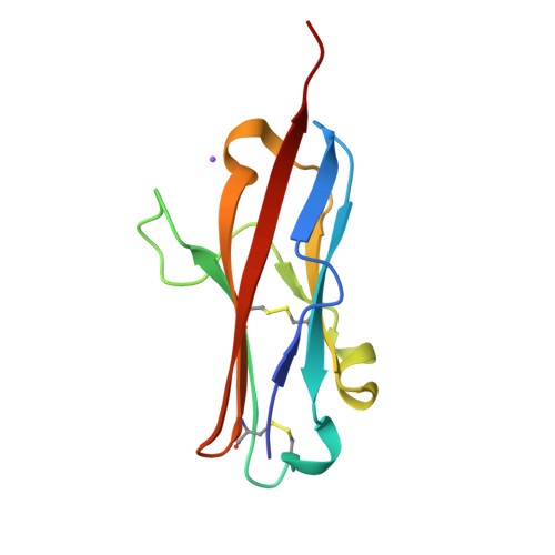 Programmed cell death 1 ligand 2 structure