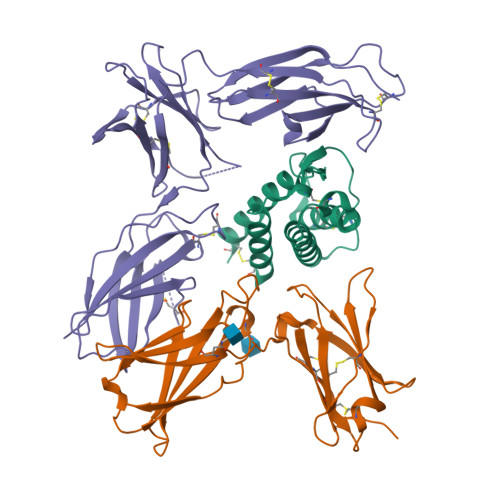 RCSB PDB - 3BPN: Crystal structure of the IL4-IL4R-IL13Ra ternary complex