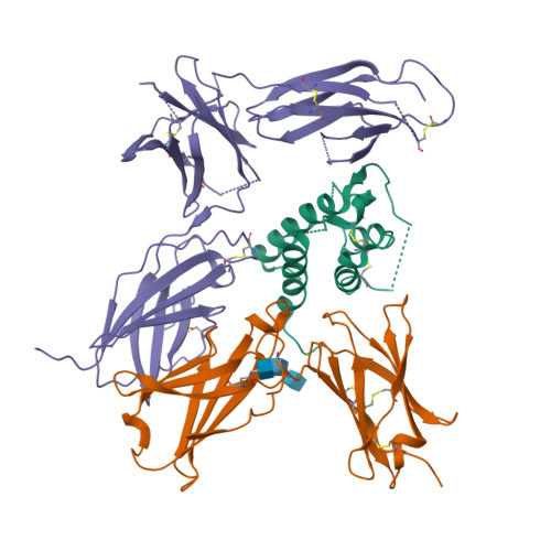 RCSB PDB - 3BPO: Crystal structure of the IL13-IL4R-IL13Ra ternary complex