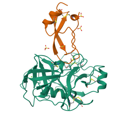 Rcsb Pdb 3btd The Crystal Structures Of The Complexes Between The Bovine Beta Trypsin And Ten 4094