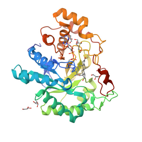 Aldo-keto reductase family 1 member D1 structure