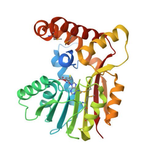 RCSB PDB - 3BUS: Crystal Structure Of RebM