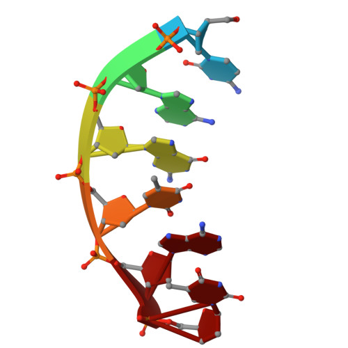 RCSB PDB - 3C5G: Structure of a ternary complex of the R517K Pol 