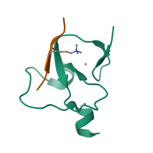 PDB 3C6W