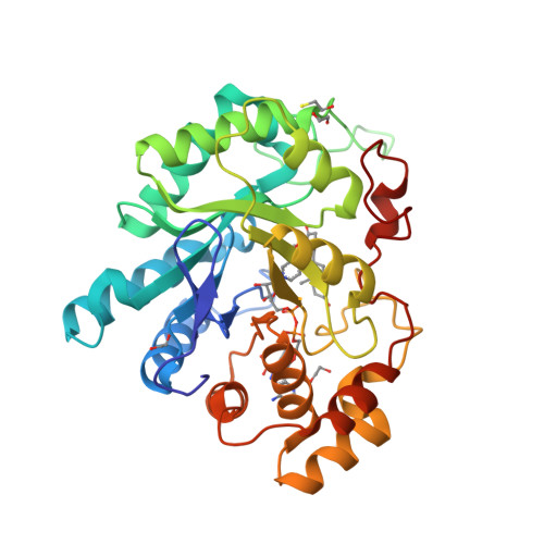 RCSB PDB - 3CAS: Crystal structure of 5beta-reductase (AKR1D1) in ...