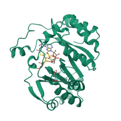 Rcsb Pdb 3cb8 4fe 4s Pyruvate Formate Lyase Activating Enzyme In Complex With Adomet And A Peptide Substrate