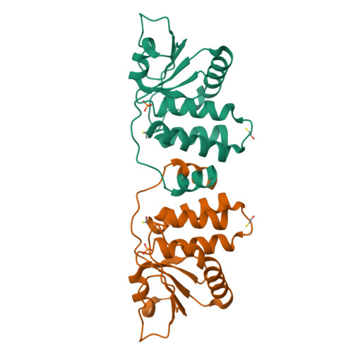 RCSB PDB - 3CM3: High Resolution Crystal Structure of the Vaccinia ...