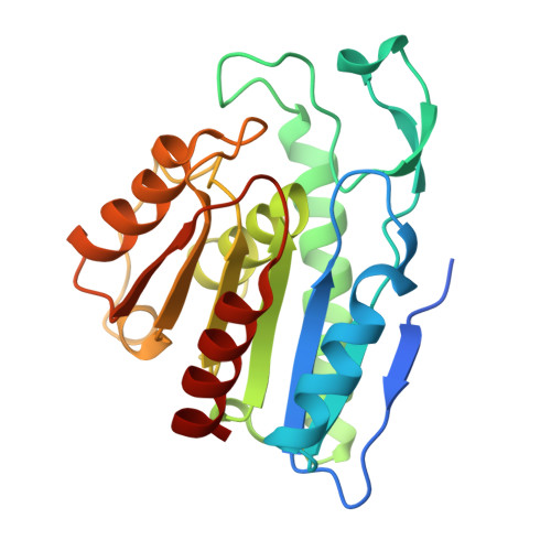 RCSB PDB - 3CN7: Crystal Structure Analysis of the Carboxylesterase ...