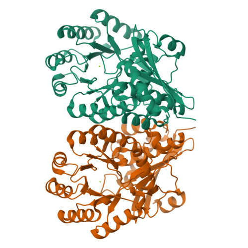 RCSB PDB 3CT2 Crystal structure of muconate cycloisomerase from