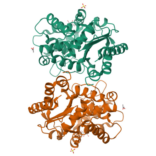 PDB 3CZD