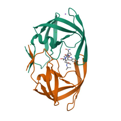 RCSB PDB - 3D1Y: Crystal structure of HIV-1 mutant I54V and