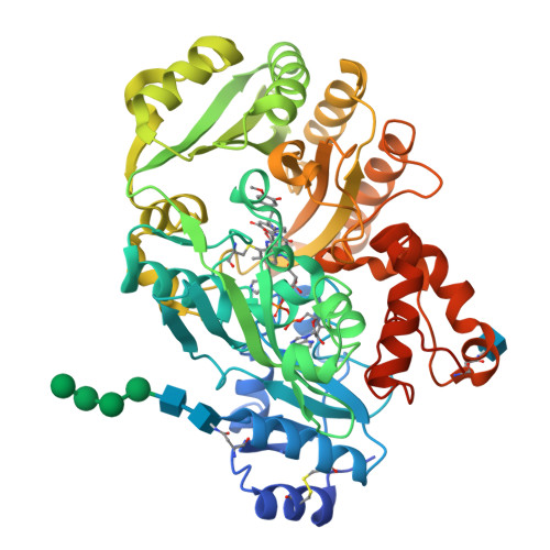 RCSB PDB - 3D2D: Structure Of Berberine Bridge Enzyme In Complex With ...