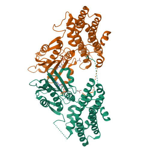 RCSB PDB - 3D2R: Crystal structure of pyruvate dehydrogenase