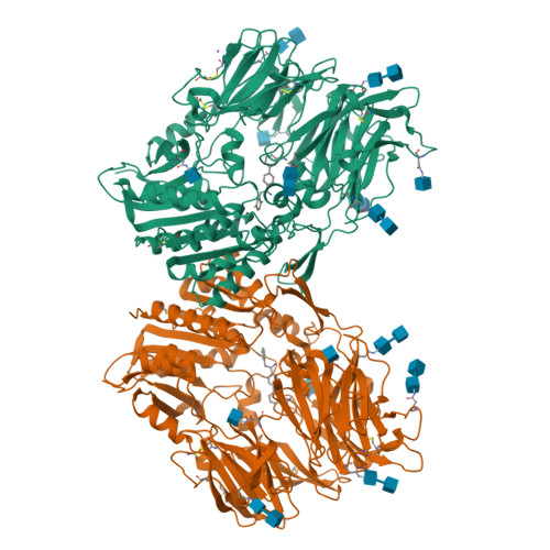 RCSB PDB - 3D4L: Human dipeptidyl peptidase IV/CD26 in complex 