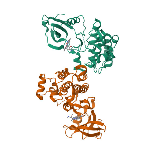 RCSB PDB - 3D7T: Structural basis for the recognition of c-Src by its ...