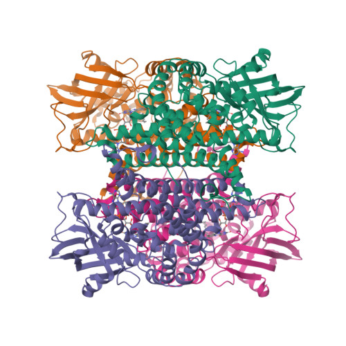 Nitrooctane RCSB PDB - 3D9E: Nitroalkane oxidase: active site mutant D402N ...