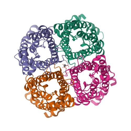 PDB 3D9S