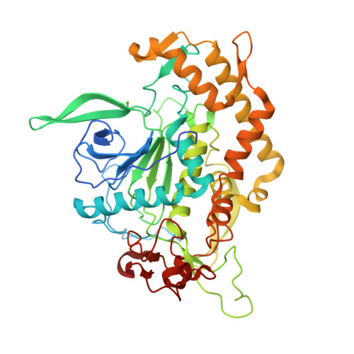 RCSB PDB - 3DEB: Crystal Structure of apo form (Zinc removed) of the ...