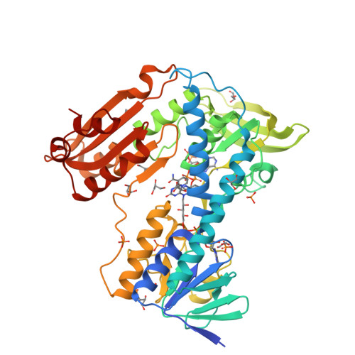 igf-1 lr3 buy IGF-1 LR3 (1mg)  True Lab Peptides