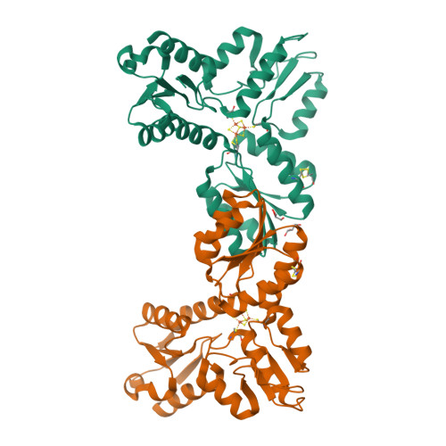 4-hydroxy-3-methylbut-2-enyl diphosphate reductase structure