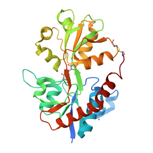 RCSB PDB - 3DP4: Crystal structure of the binding domain of the AMPA ...