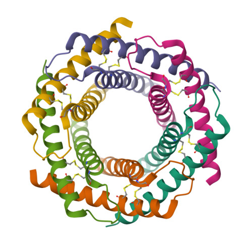 Mitochondrial import inner membrane translocase subunit TIM10 structure