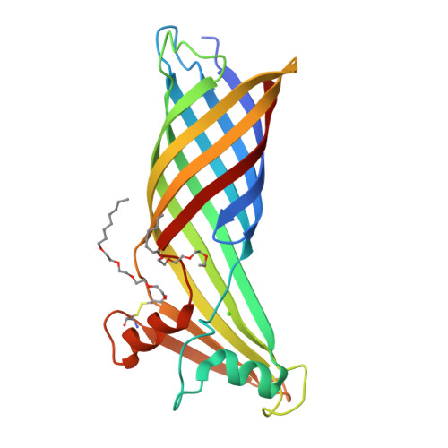 RCSB PDB - 3DZM: Crystal structure of a major outer membrane protein ...