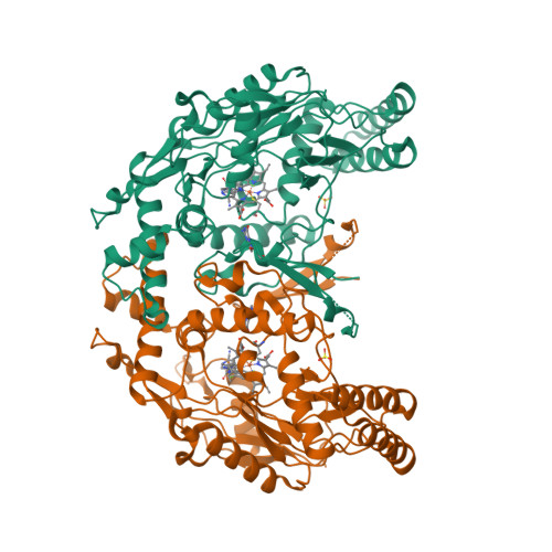 RCSB PDB - 3E7T: Structure of murine iNOS oxygenase domain with 