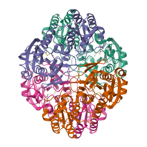 RCSB PDB - 3ECA: CRYSTAL STRUCTURE OF ESCHERICHIA COLI L-ASPARAGINASE ...