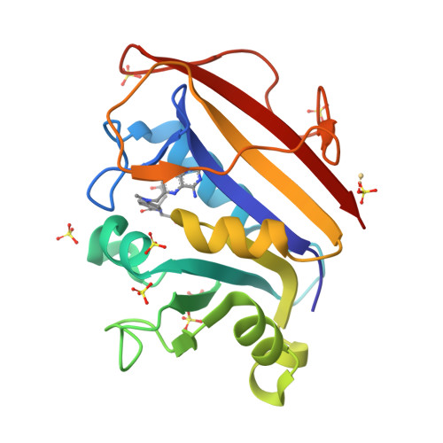 RCSB PDB - 3EIG: Crystal structure of a methotrexate-resistant mutant ...