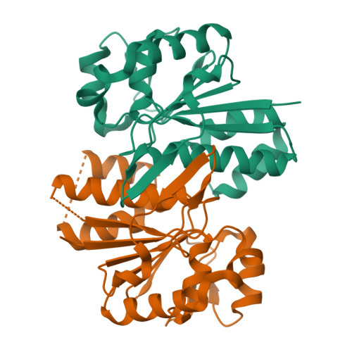 RCSB PDB - 3ER6: Crystal structure of a putative transcriptional ...