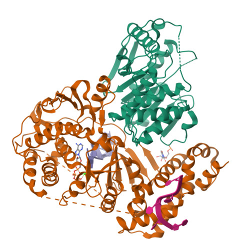 RCSB PDB - 3ERC: Crystal structure of the heterodimeric vaccinia virus ...