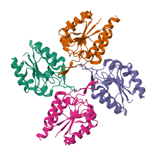 Rcsb Pdb Ewi Structural Analysis Of The C Terminal Domain Of Murine