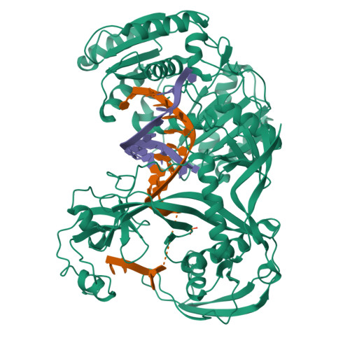 RCSB PDB - 3F73: Alignment of guide-target seed duplex