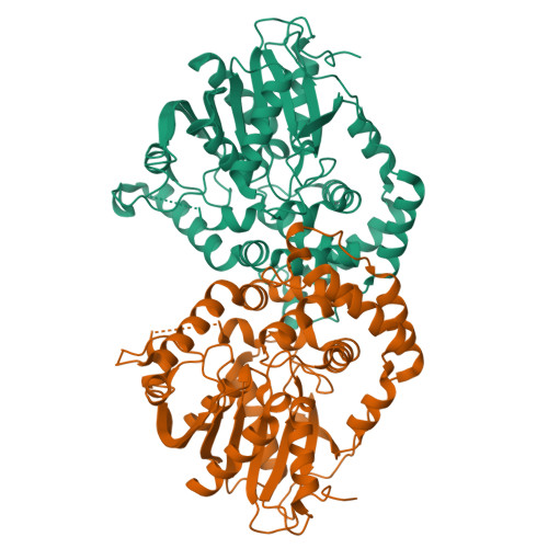 Rcsb Pdb 3g02 Structure Of Enantioselective Mutant Of Epoxide Hydrolase From Aspergillus 7819